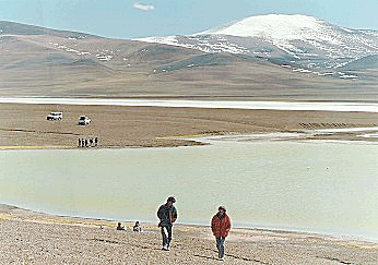 GPO. TURISTAS EN LAGUNA BRAVA