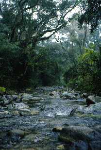 Parque Nacional El Rey