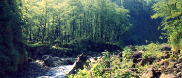 Parque Nacional Campo Los Alisos