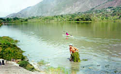 MN Laguna de Urao