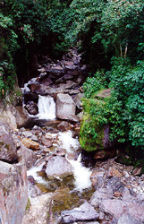 MN Chorrera de Las Gonzalez