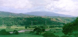 MN Loma de Leon