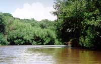 PN Laguna de Tacarigua