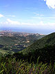PN Cerro El Copey- Jóvito Villalba
